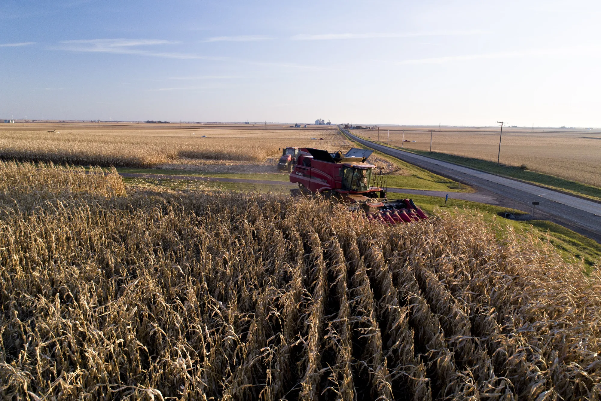 Corn Declines on Lackluster U.S. Export Sales