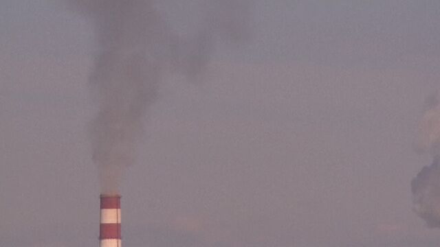 Air Pollution Kills 7 Million People a Year, WHO Reports