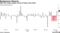 Exuberance Returns | S&P 500 snaps longest string of losses since April
