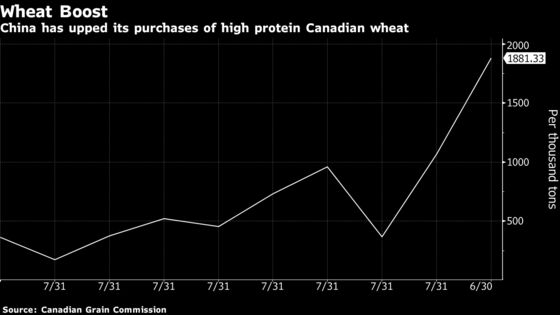 As Canola Spat Steals Headlines, China Quietly Buys Canada Crops