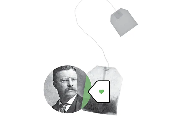 Tea Party, Sierra Club Unite to Support Solar Energy in Georgia