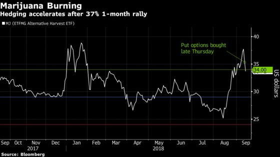 An Options Trader Makes a Big Hedge Against a Marijuana ETF