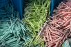 Inside a Toothbrush Factory as Big Data Helps the World’s Factory Pivot Inward