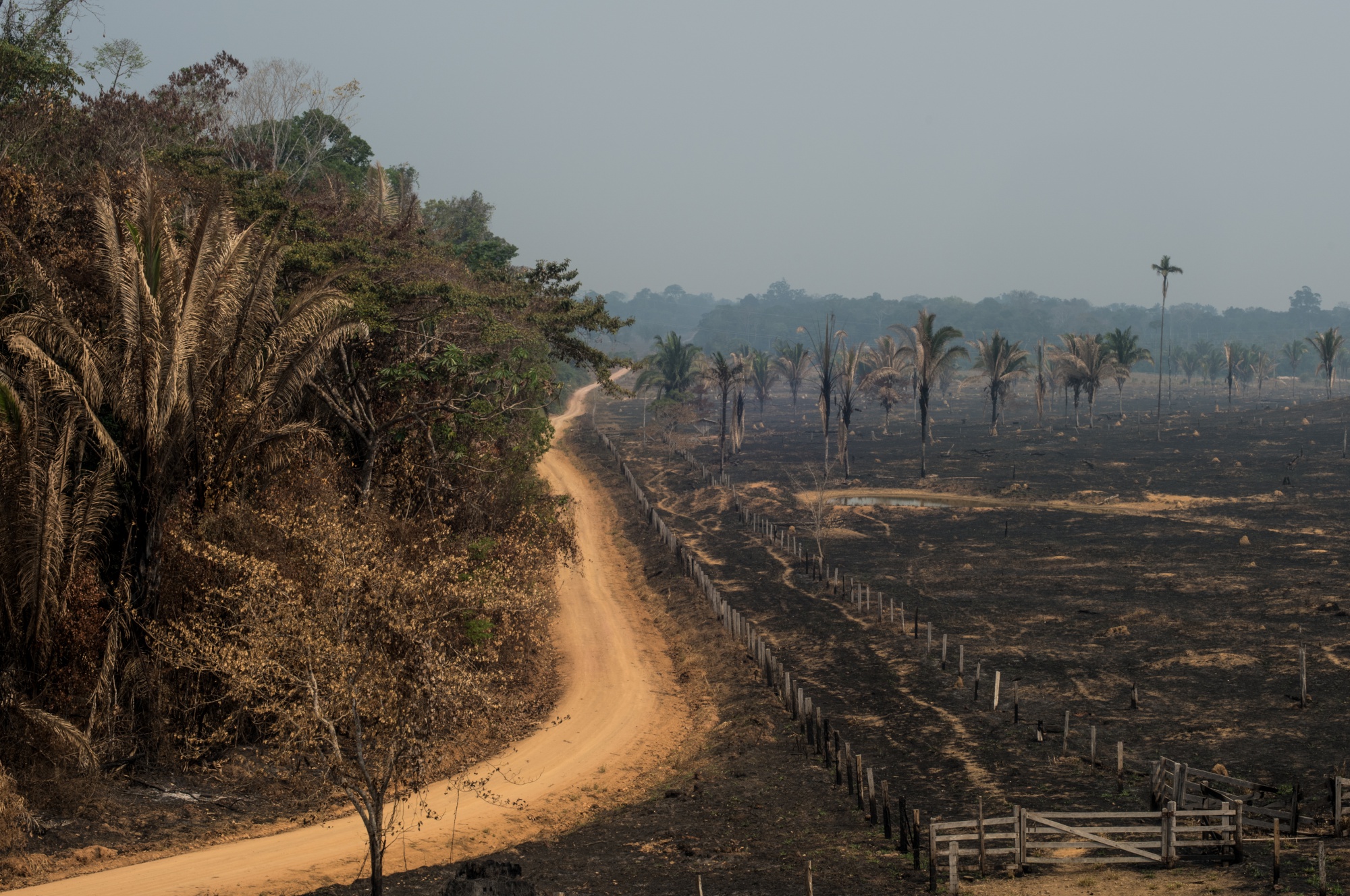 A cattle farm scorched by wildfires beside forest in Brazil in 2019.