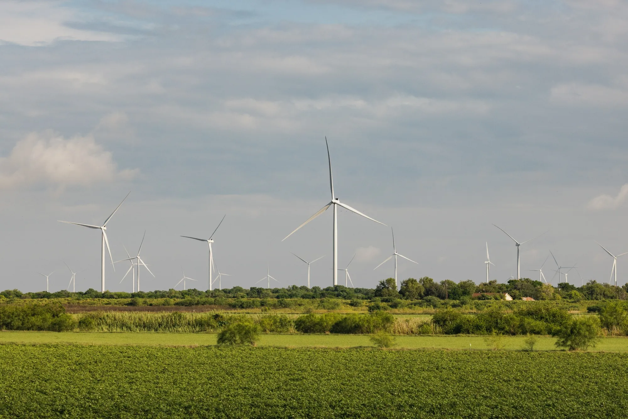 A windfarm on farmland near Brownsville, Texas.&nbsp;