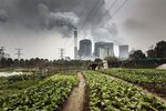 A man tends to vegetables in a field as emissions rise from nearby cooling towers of a coal-fired power station in China.