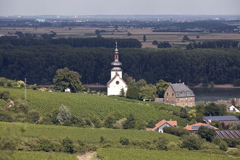 The picturesque Rheinhessen region of Germany.