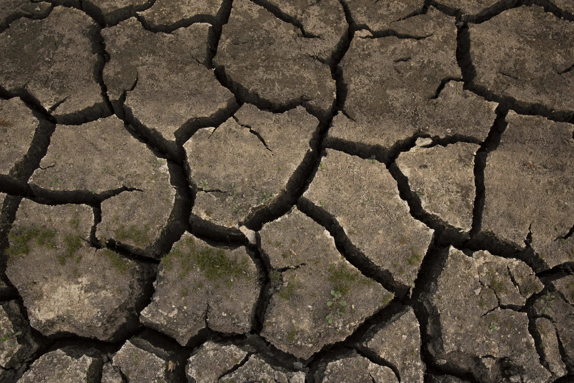 Mai Jok Luang Reservoir Declared Dry As Drought Continues