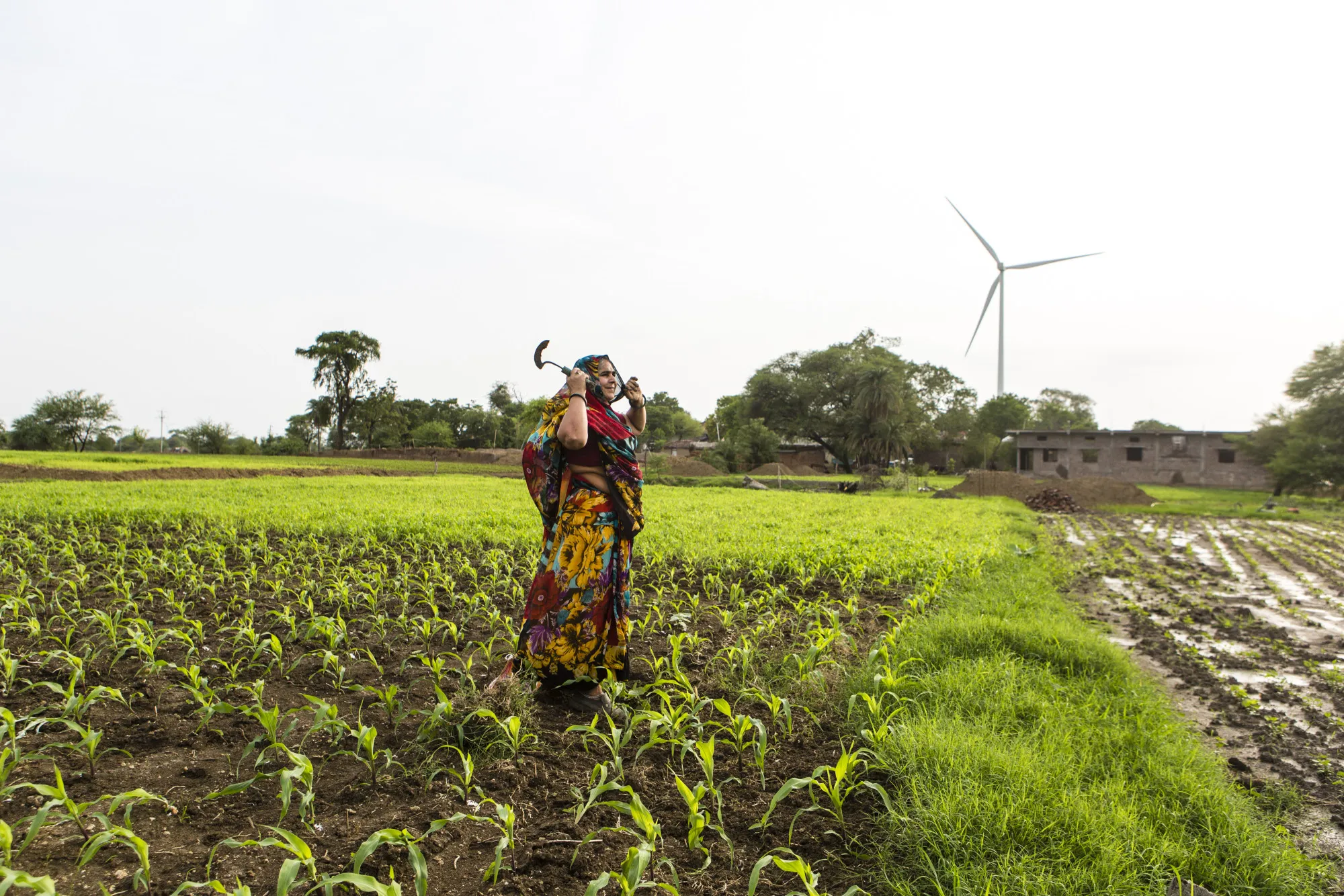 Ample rains may boost production of crops like rice, soybeans, corn and sugar cane, helping to lower food prices and aiding the government’s efforts to cool inflation.&nbsp;