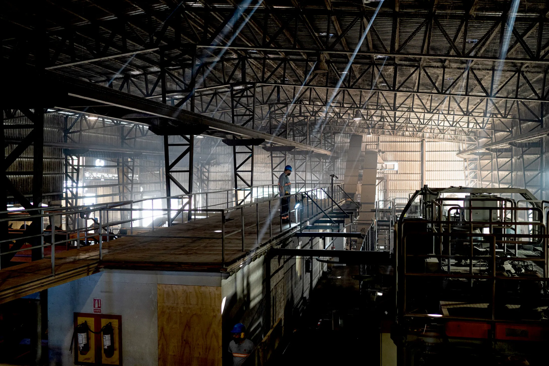 Decades after co-founding the commodity giant Trafigura Group, Mark Crandall invested in an Uruguayan lumber mill to help combat climate change.&nbsp;