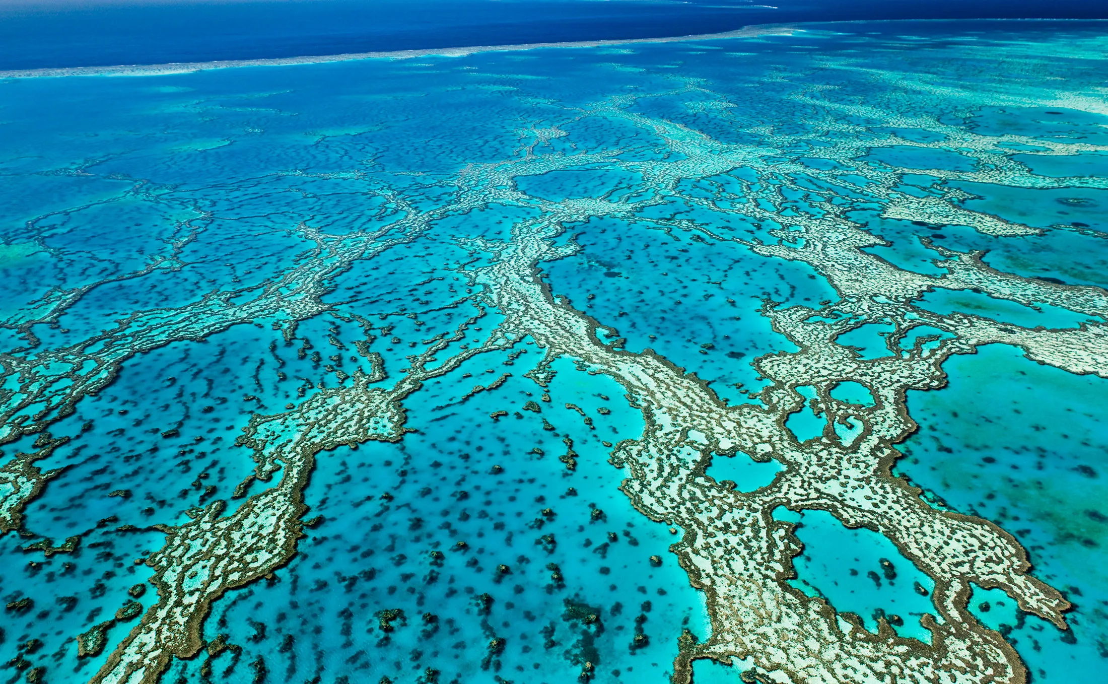 The Great Barrier Reef.
