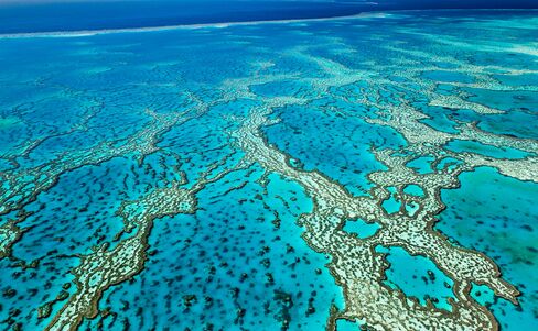 The Great Barrier Reef.