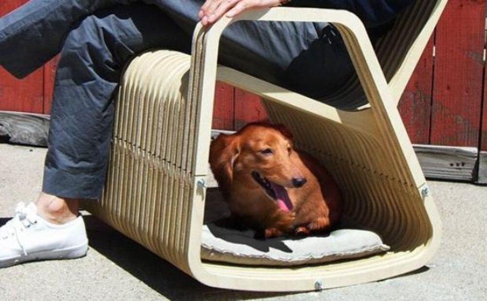 dog chair