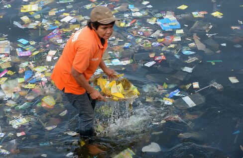 Plastic Removal