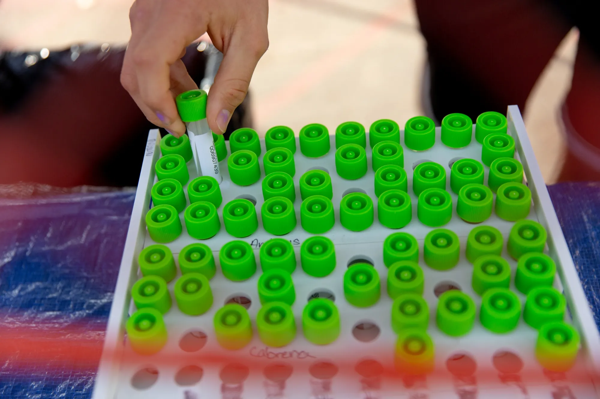 Test tubes hold Covid-19 tests at a testing site in Los Angeles, California, U.S., on Dec. 6.