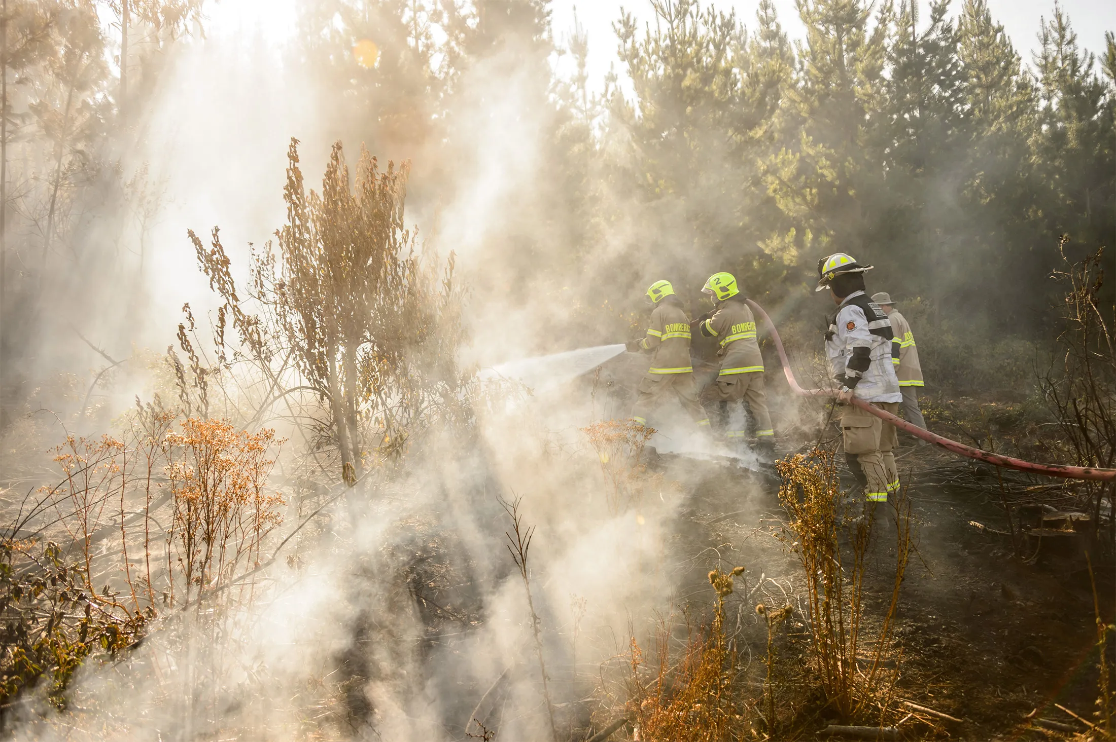 Chilean firefighters help put out a forest fire in Galvarino, Araucania Region, central Chile, on Feb. 8, 2019.