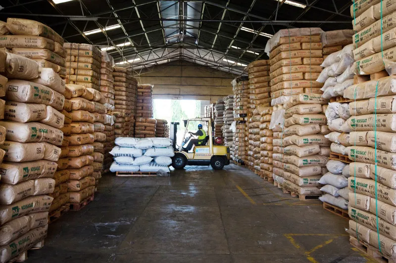 Kenya Tea Output Rises