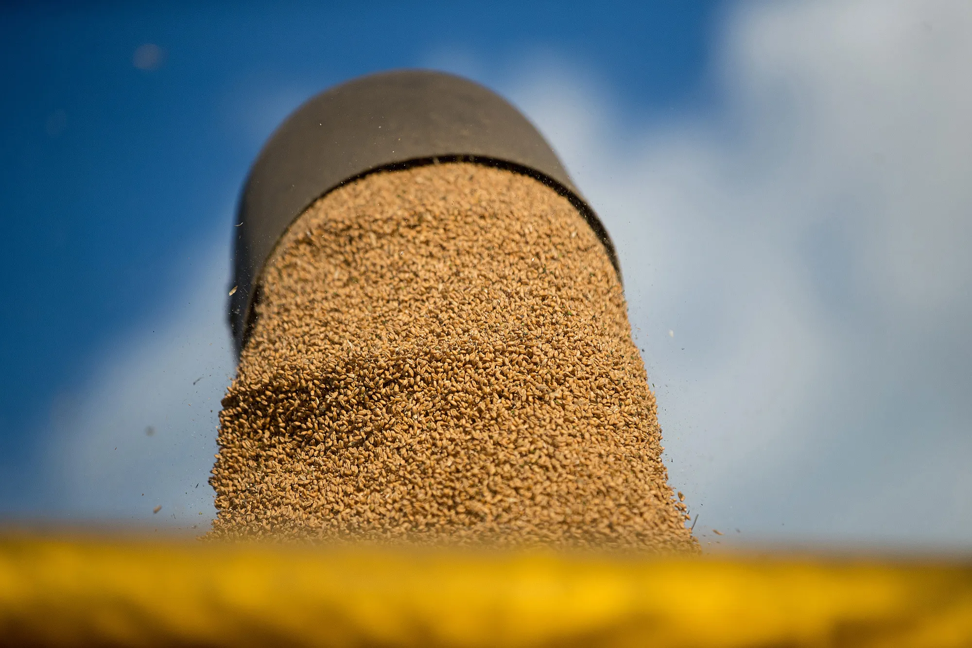 First Cryptocurrency Freight Deal Takes Russian Wheat to Turkey - Bloomberg