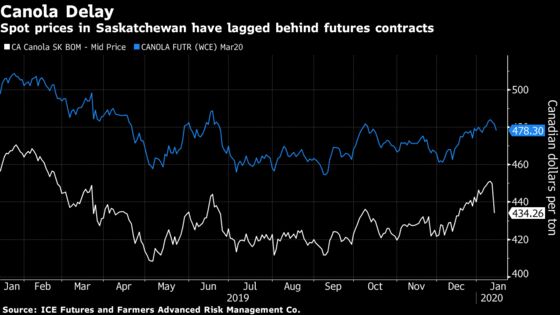 Canada’s Canola Planting Prospects Dim After China Trade Tussle