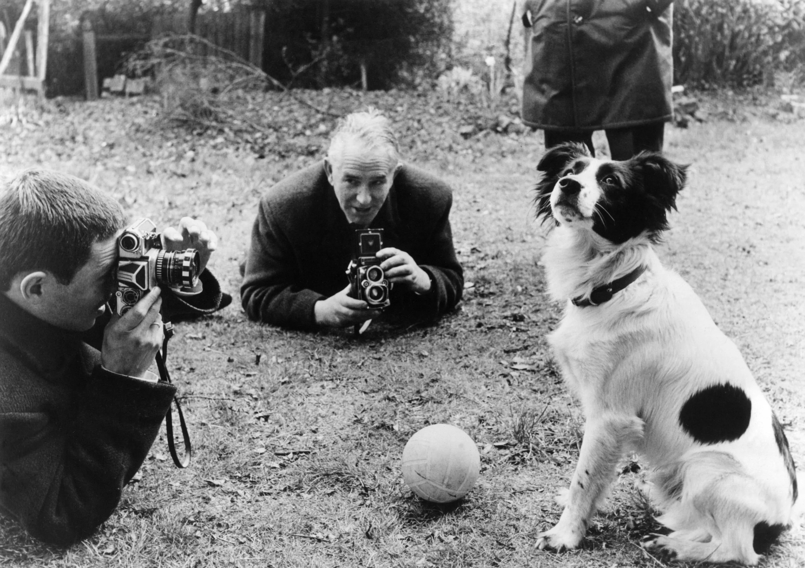 Pickles the dog became a media star in 1966 after finding the World Cup trophy wrapped in newspaper.