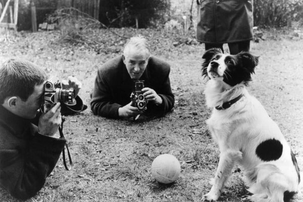 Soccer World Cup 1966: Dog Pickles finds the World Cup Trophy