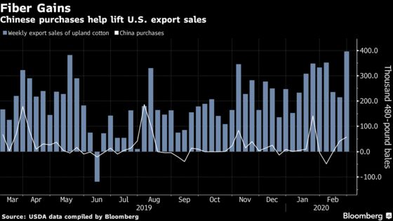 China Purchases Help Lift U.S. Cotton Sales to Highest in a Year