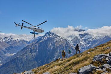 PURSUITS_WEB_Heli Hiking New Zealand