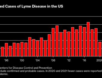 relates to Lyme Disease Has No Cure But a New Vaccine Is Coming