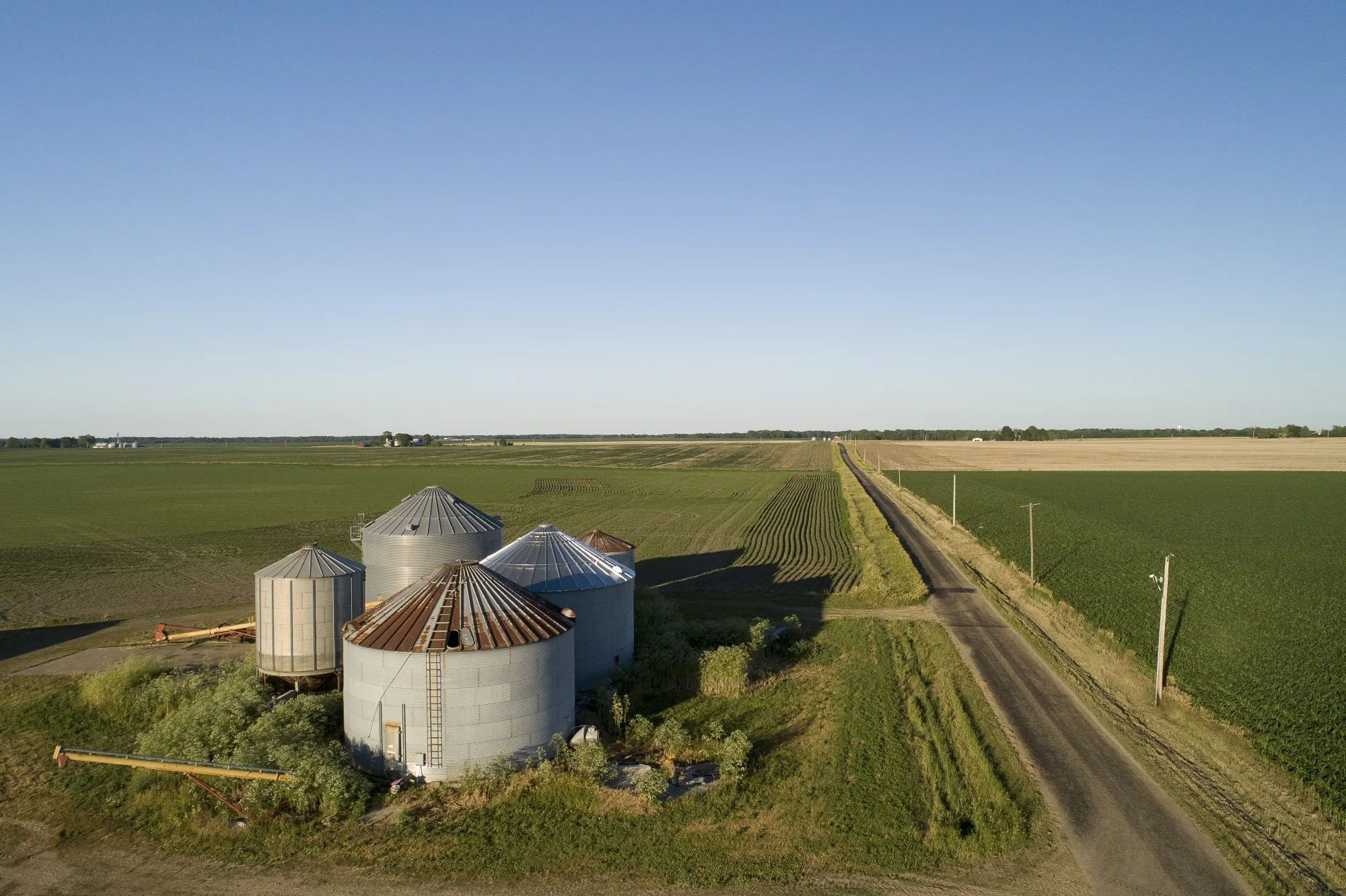 Better Weather Cools Crop Rally As Corn And Oilseeds Sink