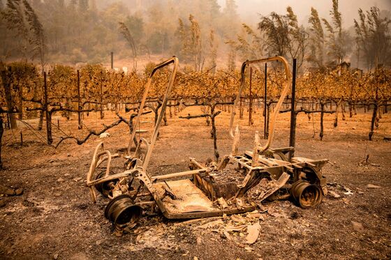 An Estimated 80% of Napa’s Cabernet May Be Lost to Fire and Smoke