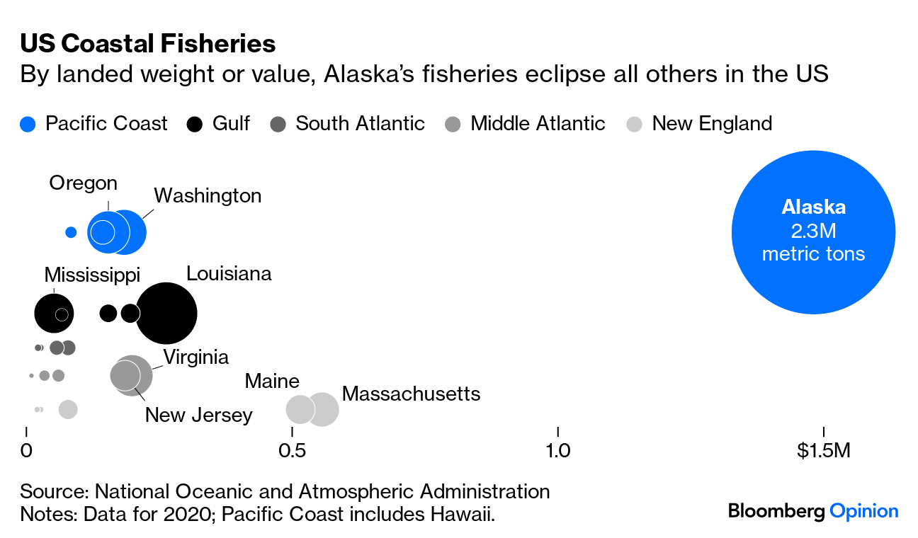 Is America Raising a Nation of Scaredy-Cats? - Bloomberg