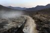 The 2020 Pine Gulch Fire destroyed acres of land. The picture features a calcinated landscape near De Beque, Colorado.