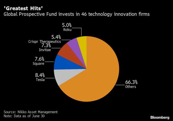 Tesla Bet Propels New Japan Fund to the Top With 84% Return