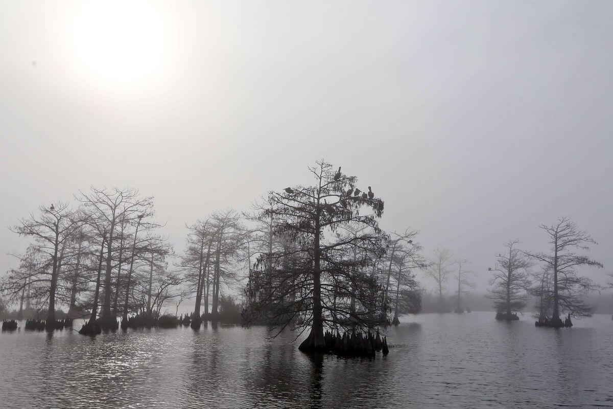 Trump Wants to Downplay Global Warming. Louisiana Won’t Let Him - Bloomberg