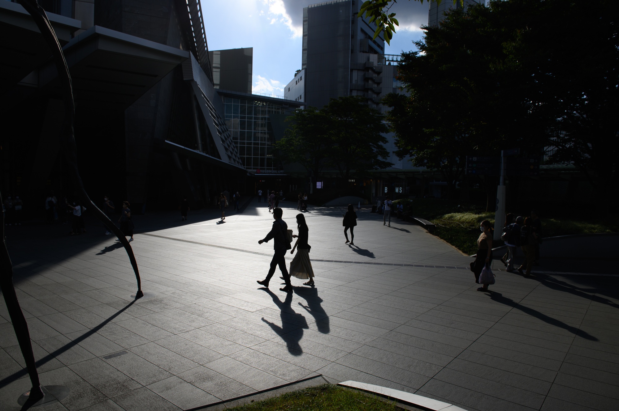 Morgan Stanley Sees Record Prime-Age Labor Participation in 2024 - Bloomberg