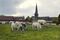 France, Normandy, Pays d'Auge, Camembert, cows