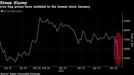 Slumping Live Hog Prices to Put China’s Breeders Under Pressure