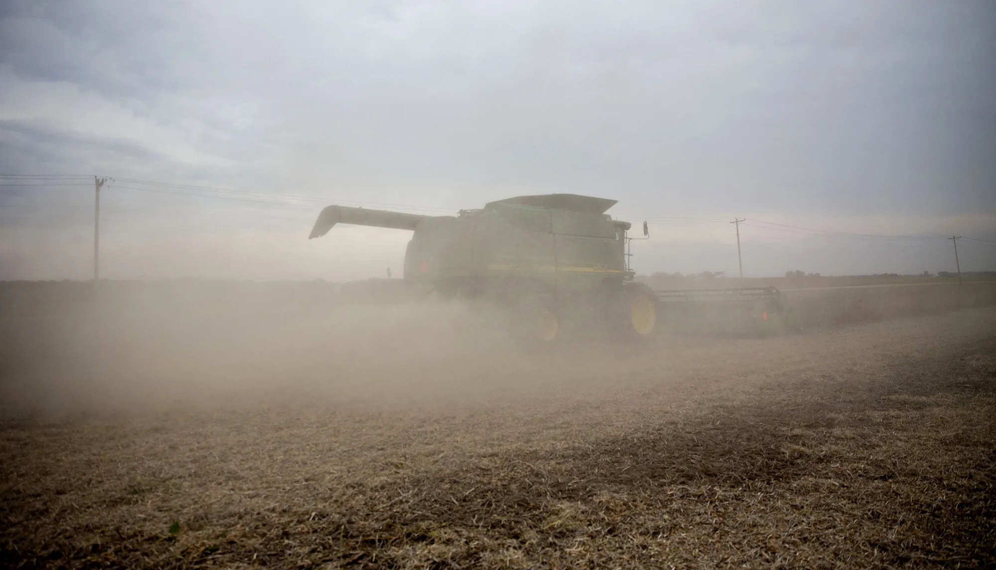 Soybeans are harvested&nbsp;in Wyanet, Illinois.