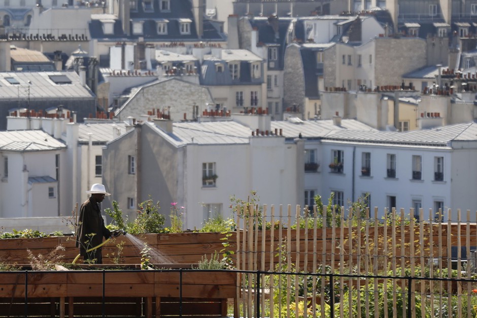 A man waters plants in a rooftop garden on top of Le Bon Marché department store in Paris. 