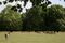 The house is set in the middle of Bushy Park, outside of London.