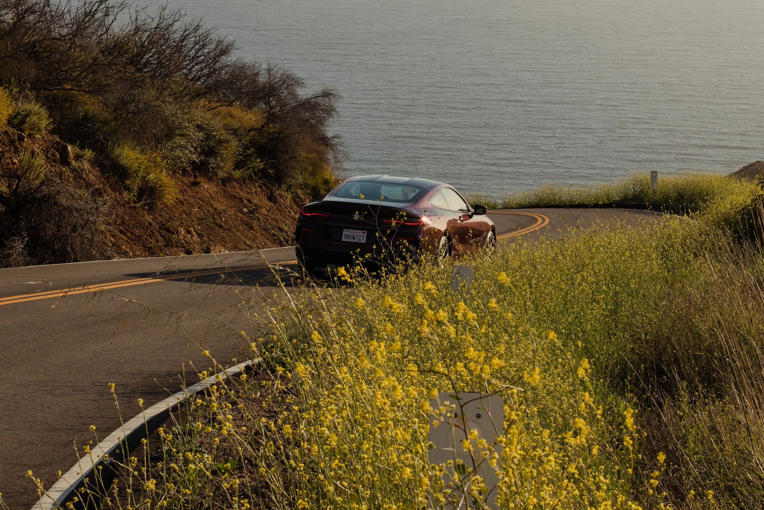 The author cruises through Malibu in a BMW 850i Coupe.