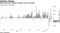 ARKK faces few outflows despite drop from highs