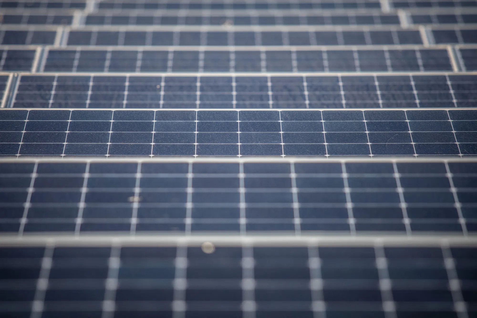 Solar Panel Farm
