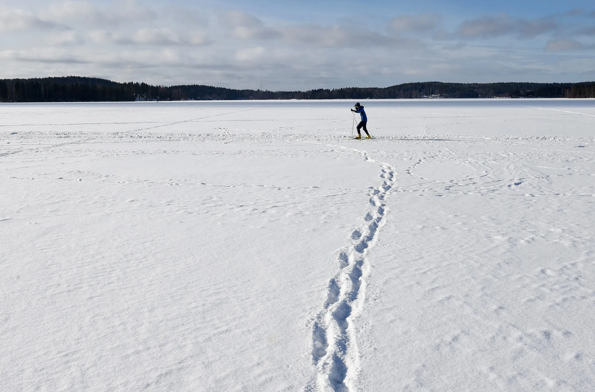 Scandinavia blazes a trail, into the wilderness.