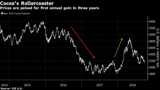 African Cocoa Harvest Begins With Test for World's Top Producers