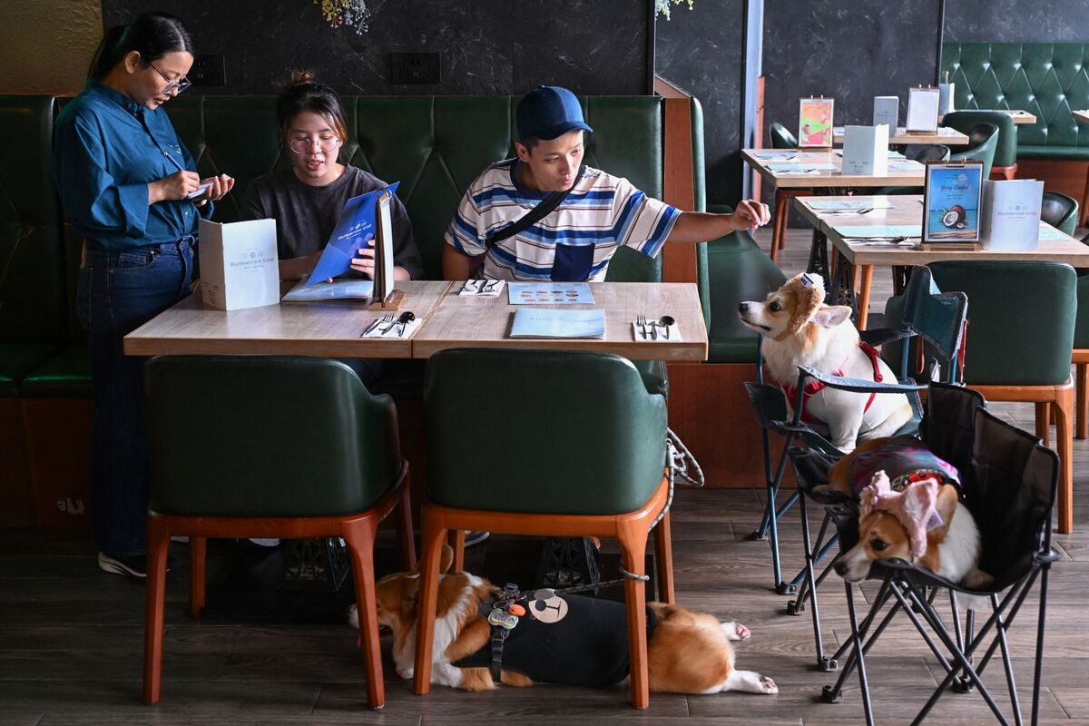 Hong Kong’s Bet on Pet Economy Slams Into Restaurant Culture Shock