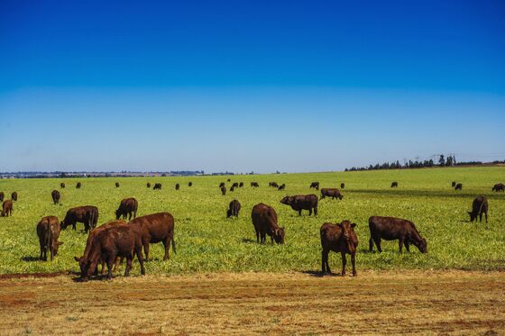 South African Lawmakers' Panel Supports Land-Seizure Plans