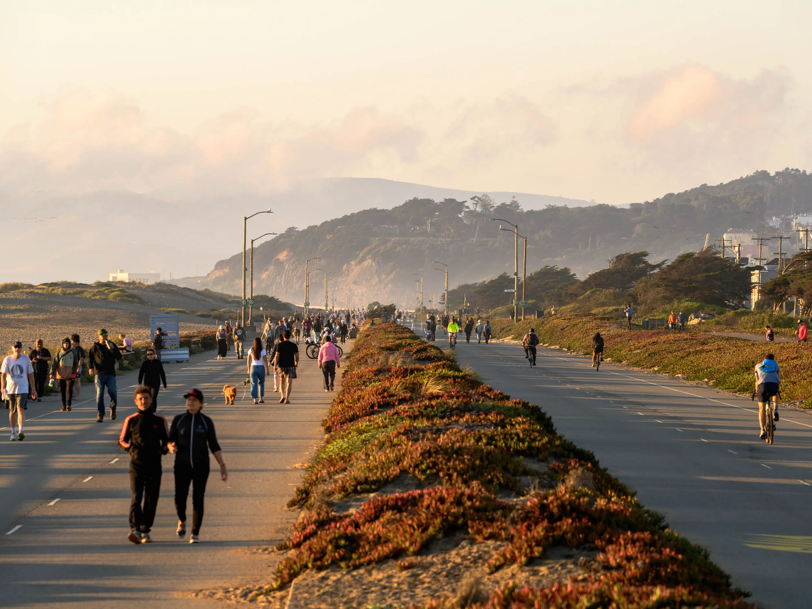 Sunset Dunes, a two-mile long park in San Francisco.