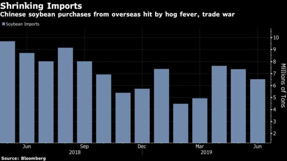 China’s Soybean Imports Slide as U.S. Trade War Takes Toll