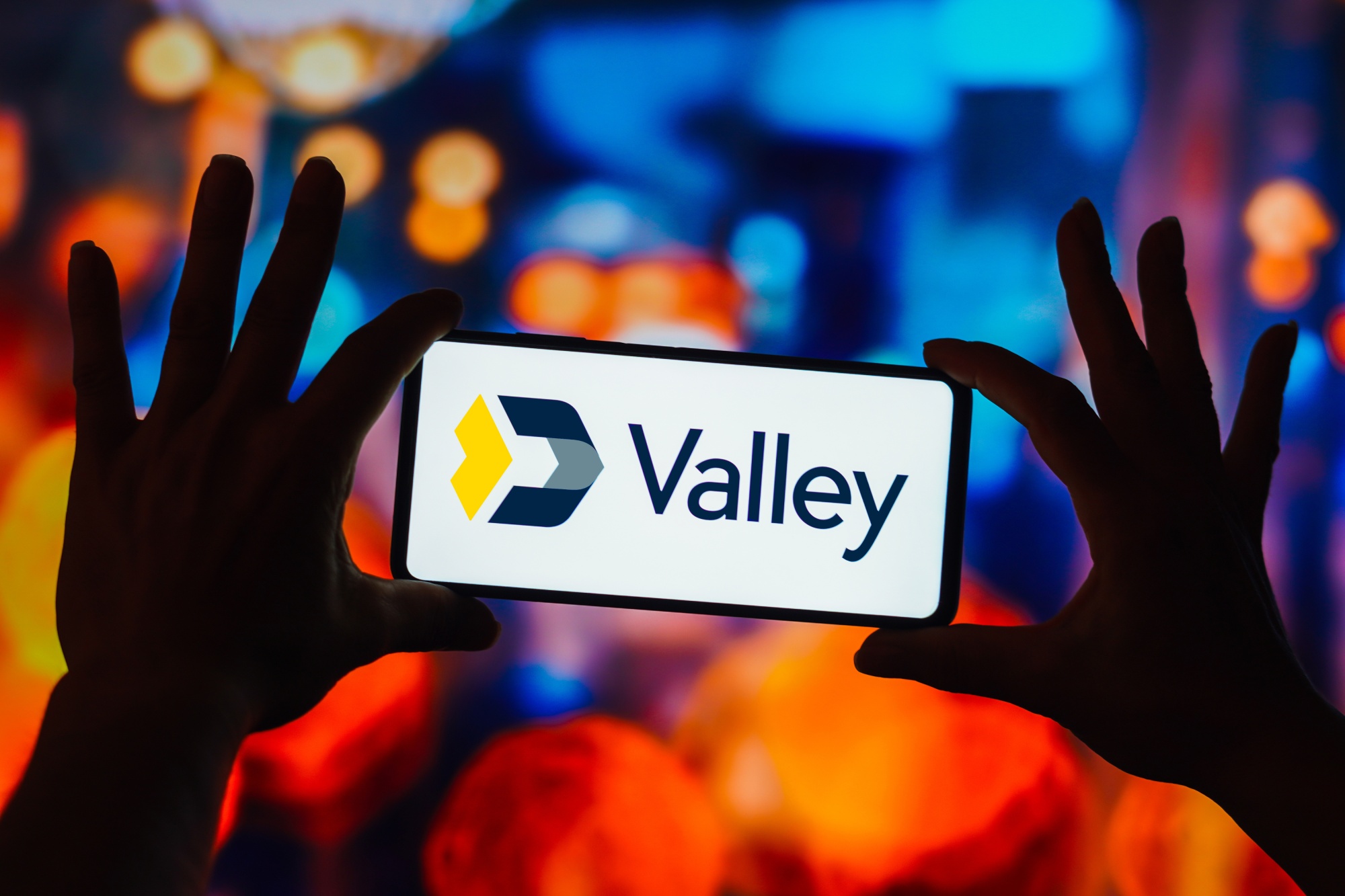 NY Community Bancorp (NYCB) Loss Fuels Valley National Investor